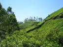 Inde